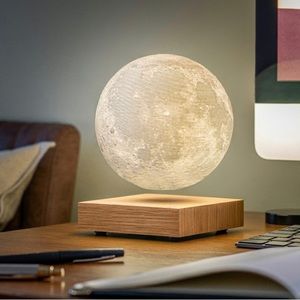 🆕 David Jones Gingko Smart Moon Lamp